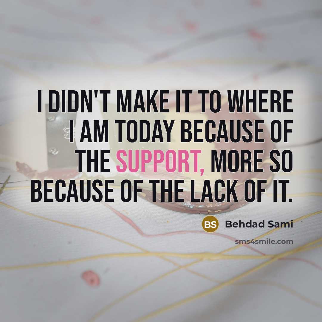 “I didn't make it to where I am today because…” quote by Behdad Sami