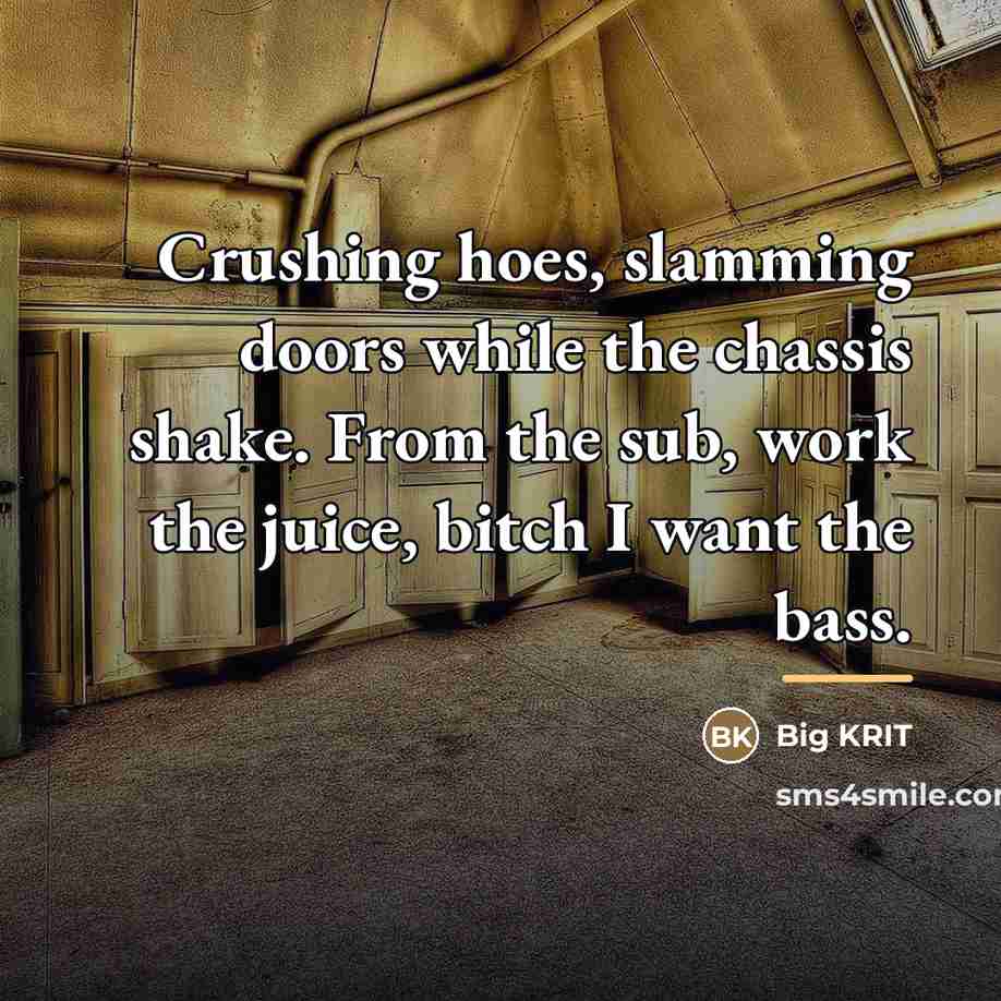 “Crushing hoes, slamming doors while the chassis shake. From the…” quote by Big Krit
