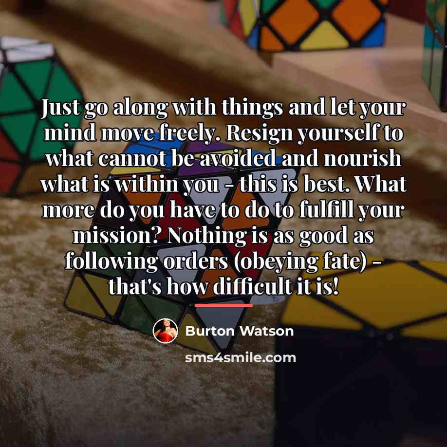 “Just go along with things and let your mind move…” quote by Burton Watson