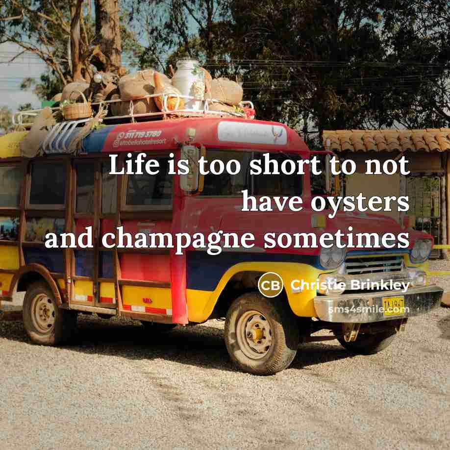 “Life is too short to not have oysters and champagne…” quote by Christie Brinkley