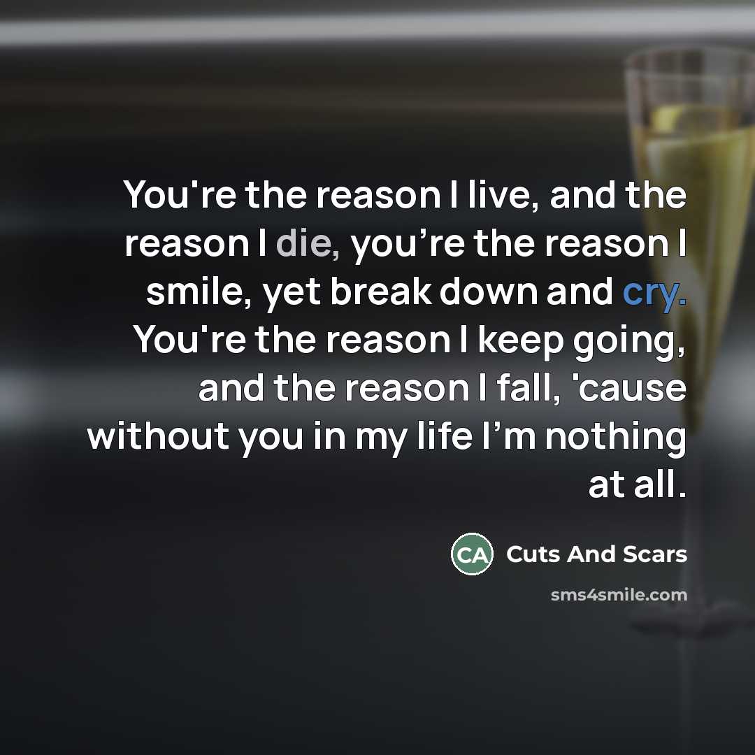 “You're the reason I live, and the reason I die,…” quote by Cuts And Scars