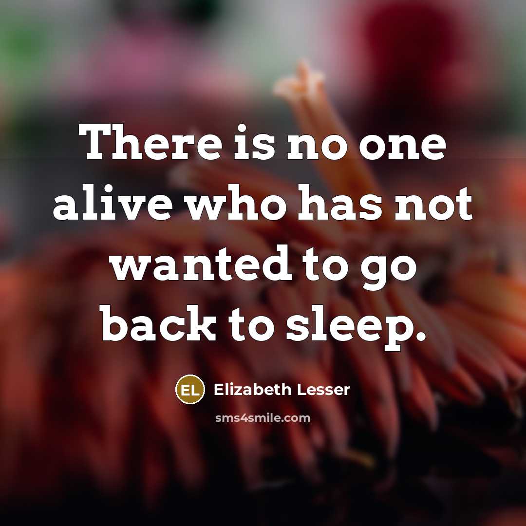 “There is no one alive who has not wanted to…” quote by Elizabeth Lesser