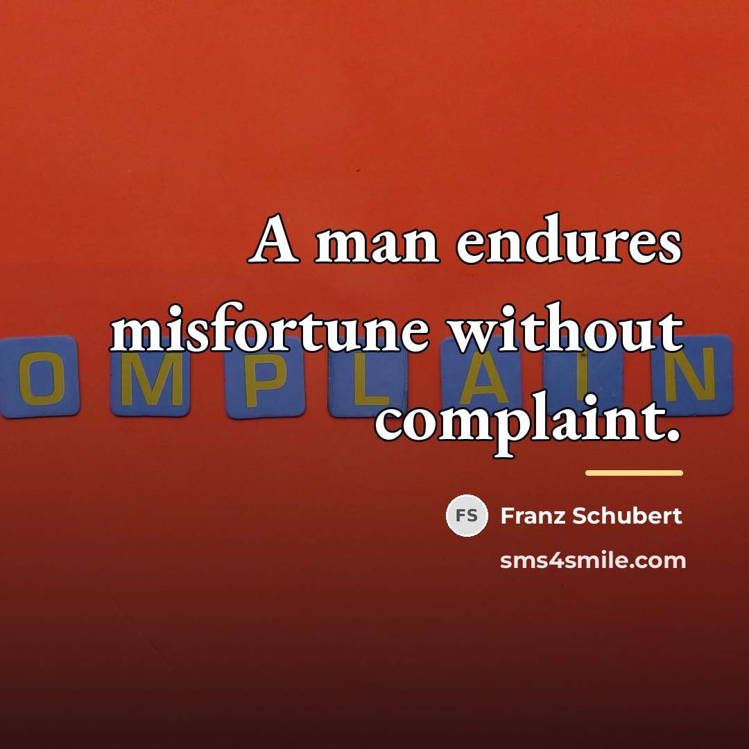 “A man endures misfortune without complaint.…” quote by Franz Schubert
