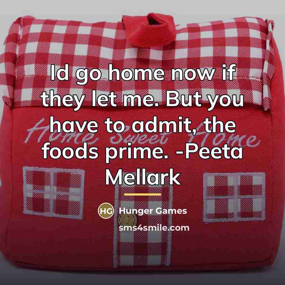 “Id go home now if they let me. But you…” quote by Hunger Games