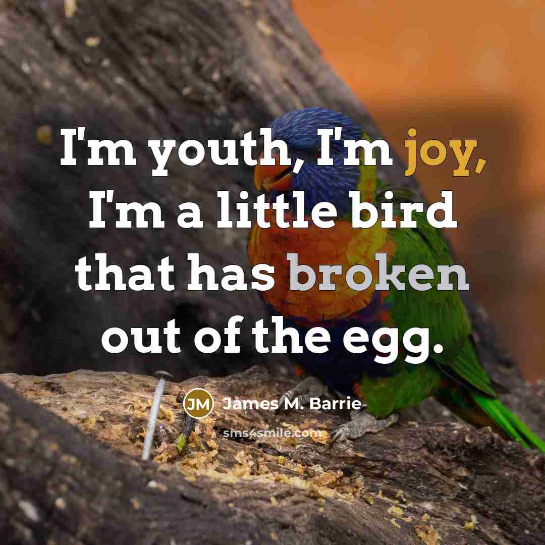 “I'm youth, I'm joy, I'm a little bird that has…” quote by James M. Barrie