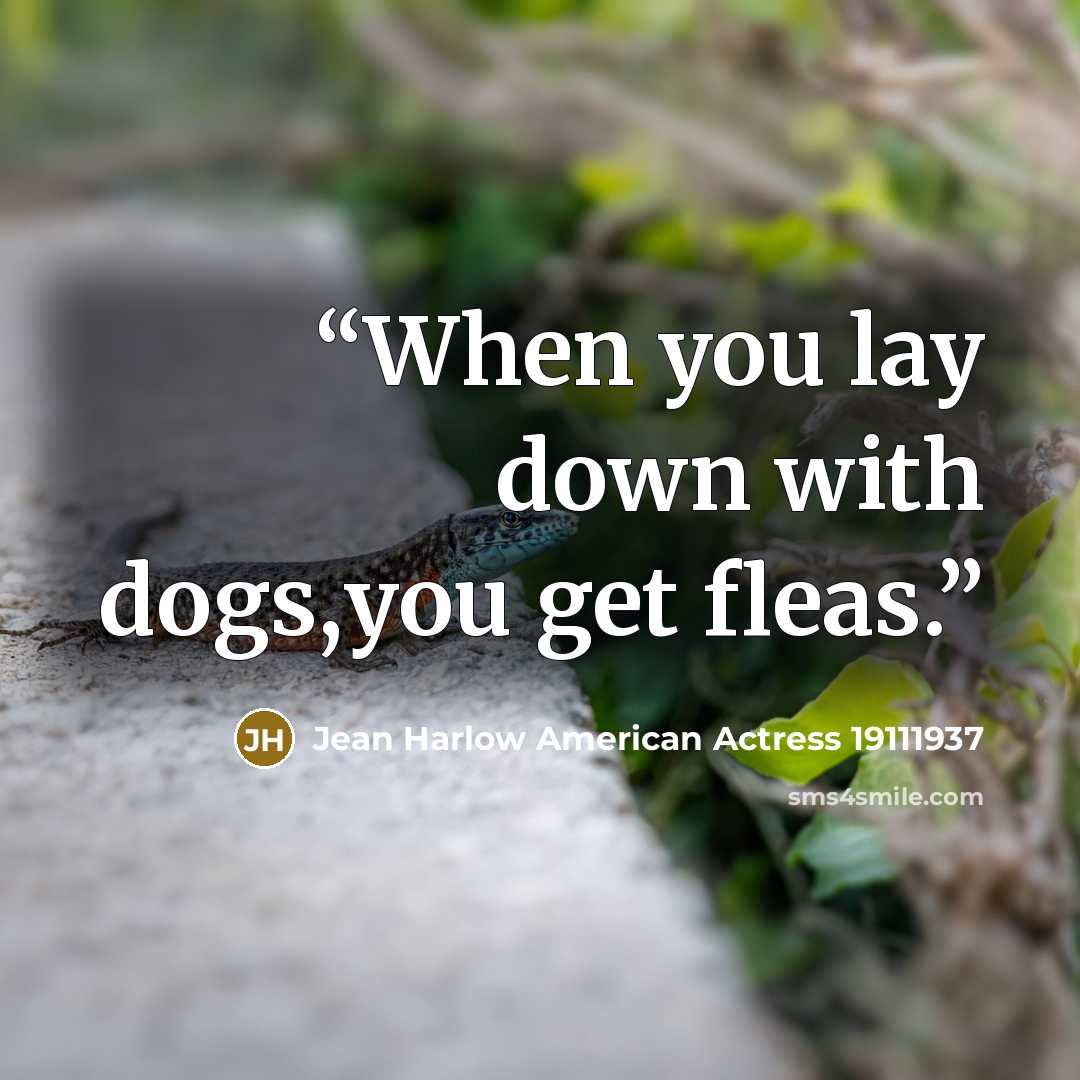 “When you lay down with dogs,you get fleas.” quote by Jean Harlow American Actress 19111937