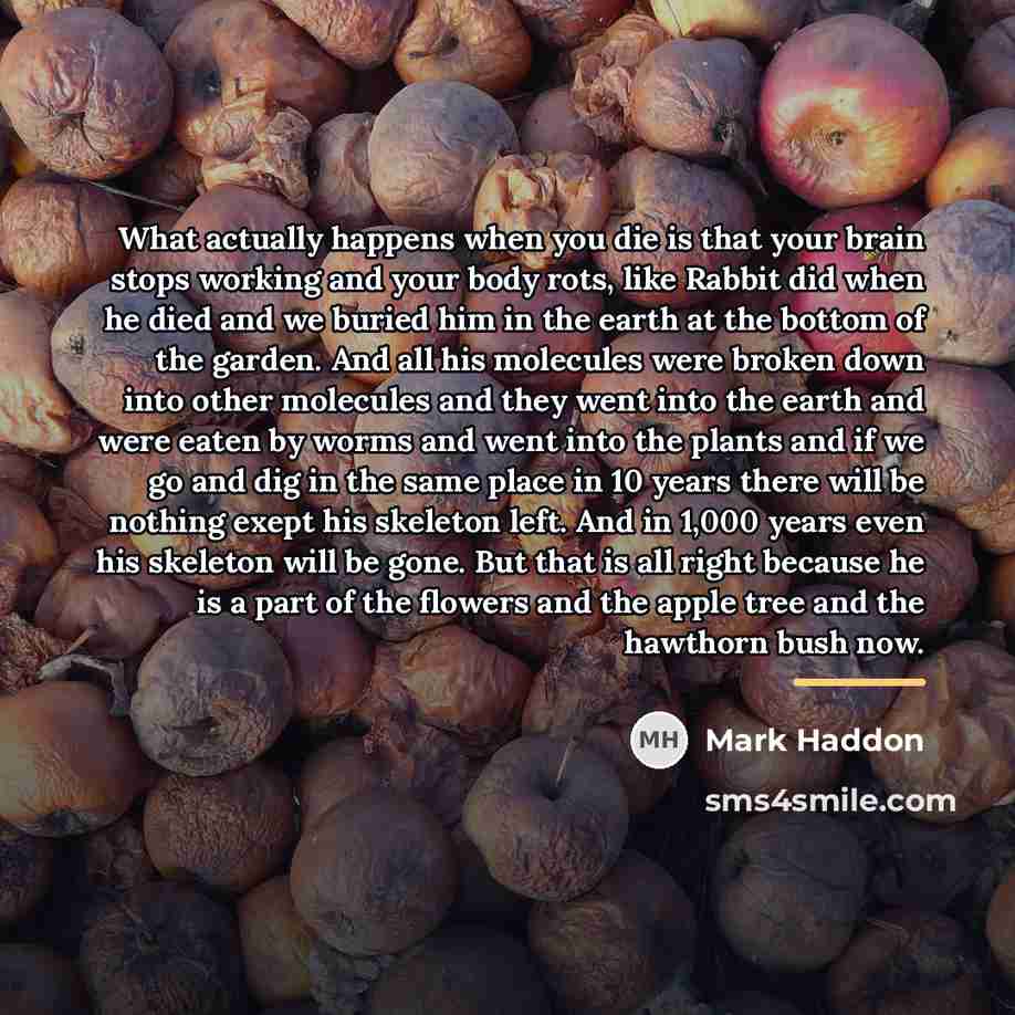 “What actually happens when you die is that your brain…” quote by Mark Haddon