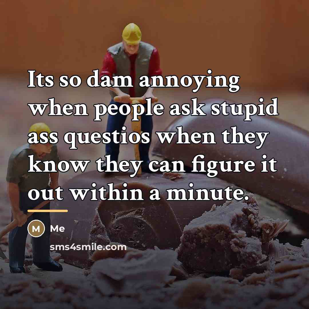 “Its so dam annoying when people ask stupid ass questios…” quote by ME