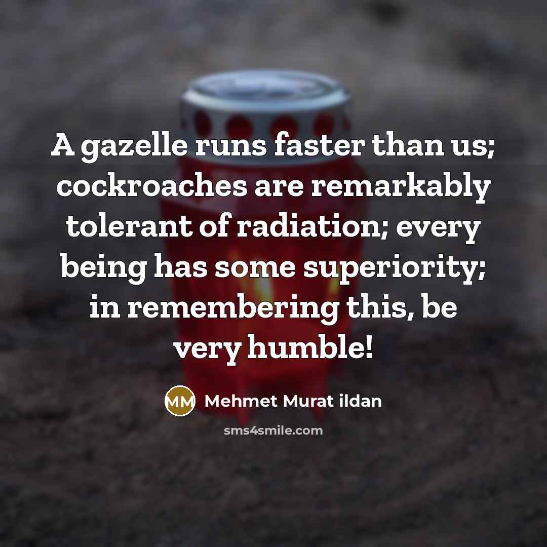 “A gazelle runs faster than us; cockroaches are remarkably tolerant…” quote by Mehmet Murat Ildan