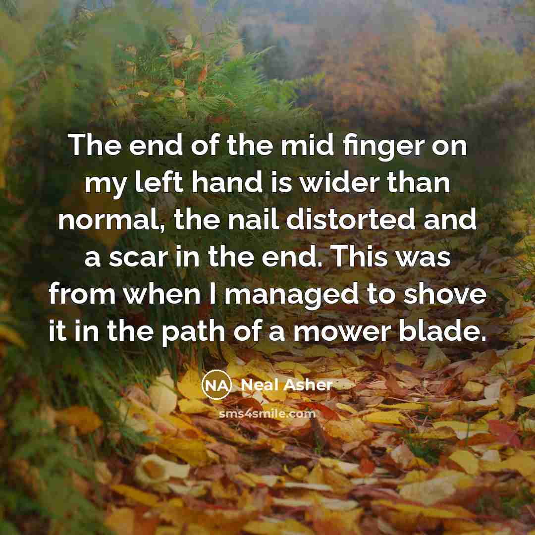 “The end of the mid finger on my left hand…” quote by Neal Asher