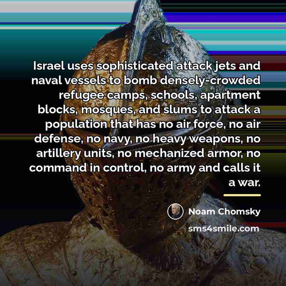 “Israel uses sophisticated attack jets and naval vessels to bomb…” quote by Noam Chomsky