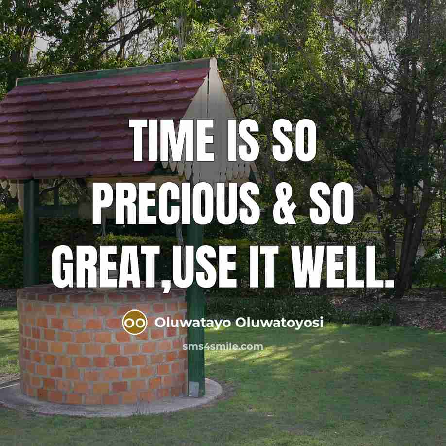 “Time is so precious & so great,use it well.…” quote by Oluwatayo Oluwatoyosi