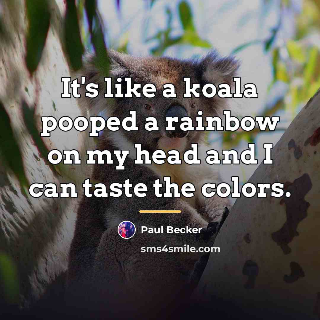 “It's like a koala pooped a rainbow on my head…” quote by Paul Becker