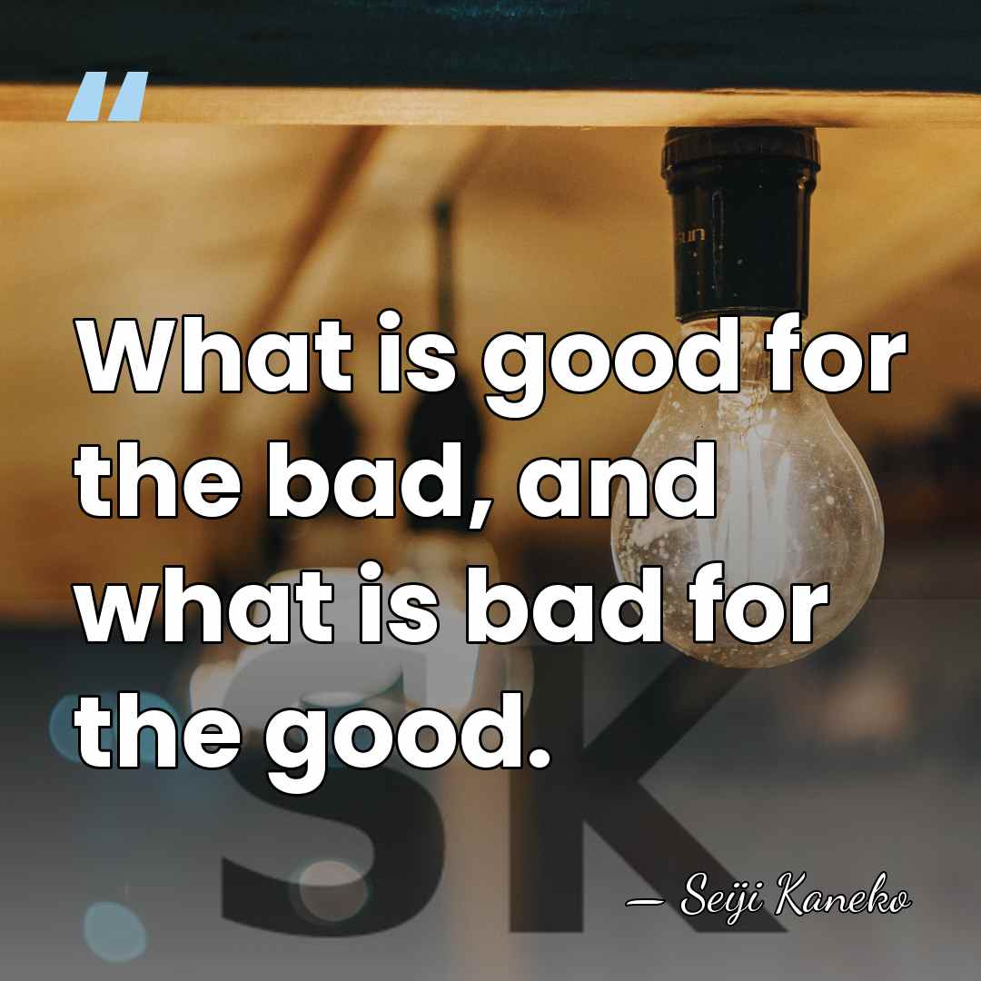 What is good for the bad, and what is bad for the&hellip; - Seiji Kaneko