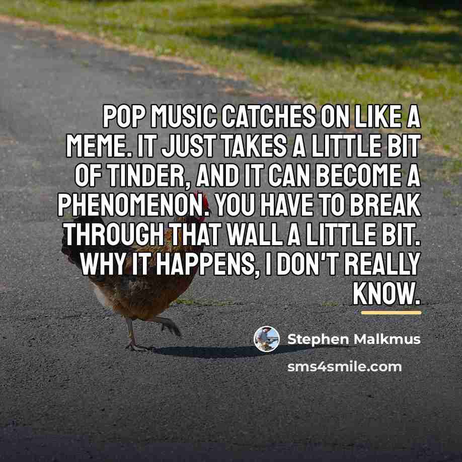 “Pop music catches on like a meme. It just takes…” quote by Stephen Malkmus