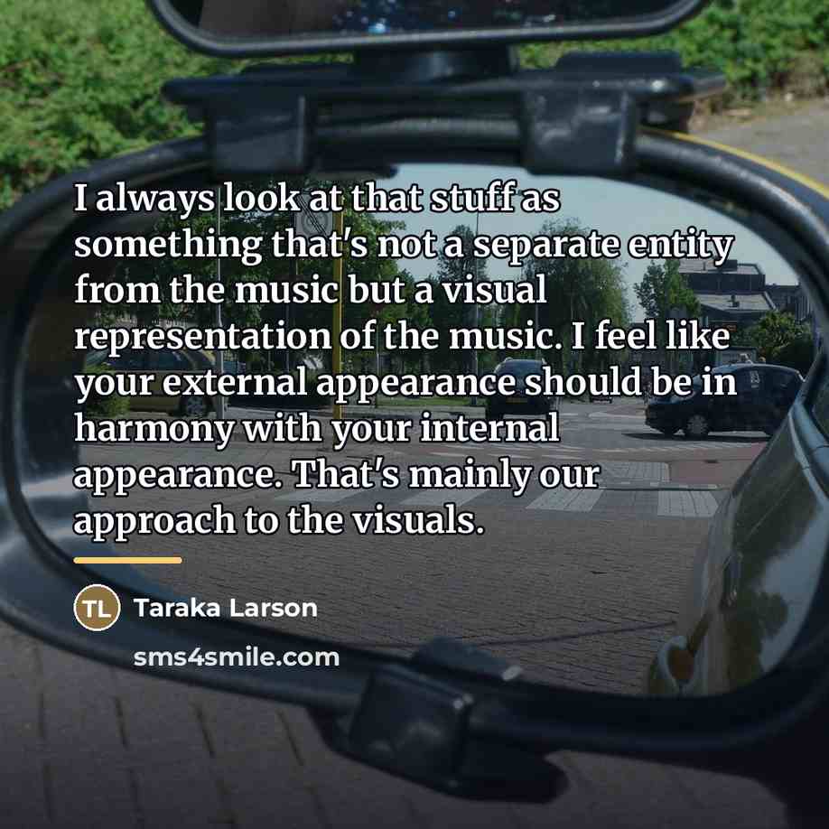 “I always look at that stuff as something that's not…” quote by Taraka Larson