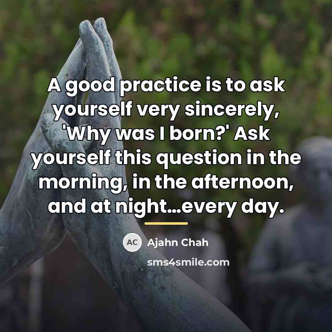 “A good practice is to ask yourself very sincerely, 'Why…” quote by Ajahn Chah