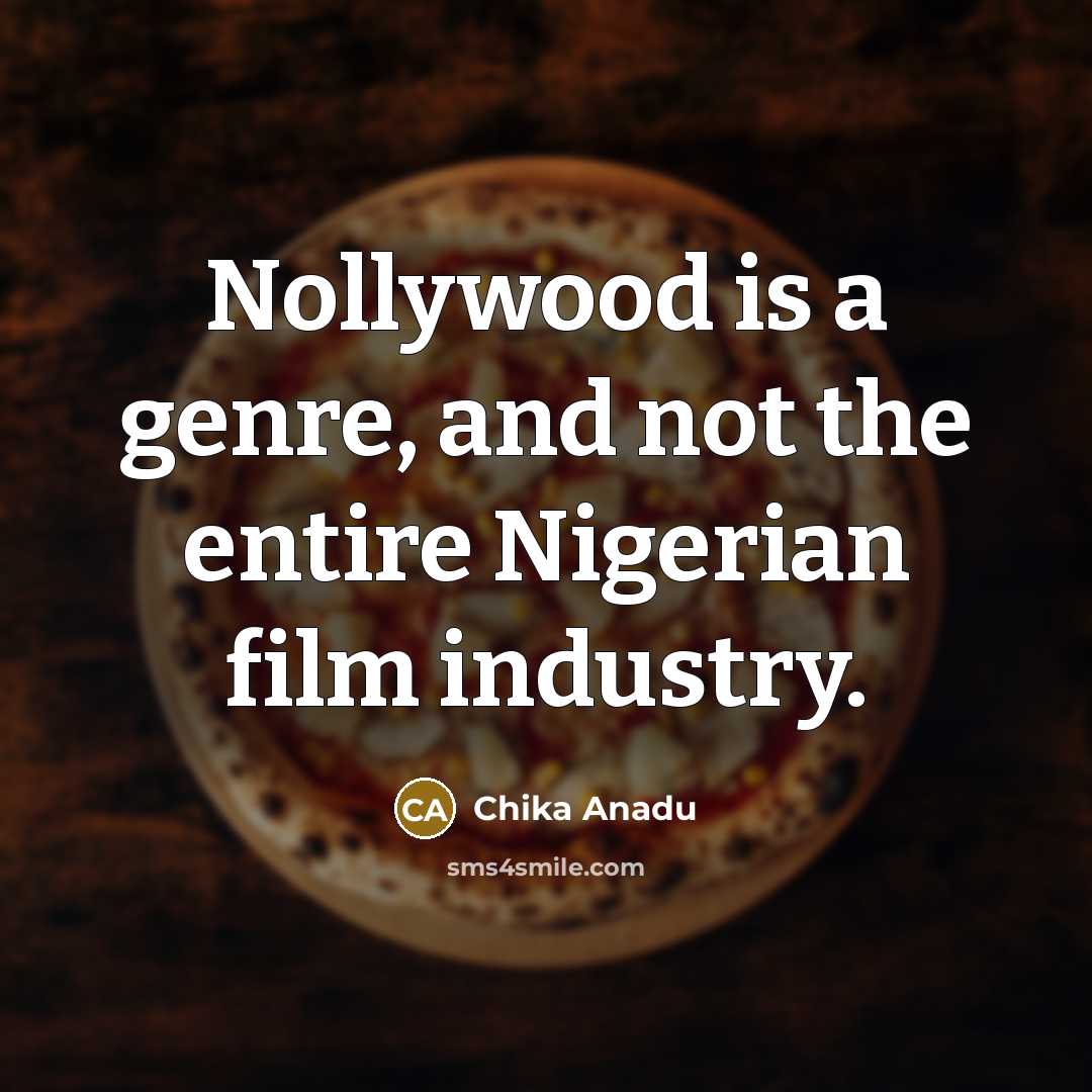 “Nollywood is a genre, and not the entire Nigerian film…” quote by Chika Anadu