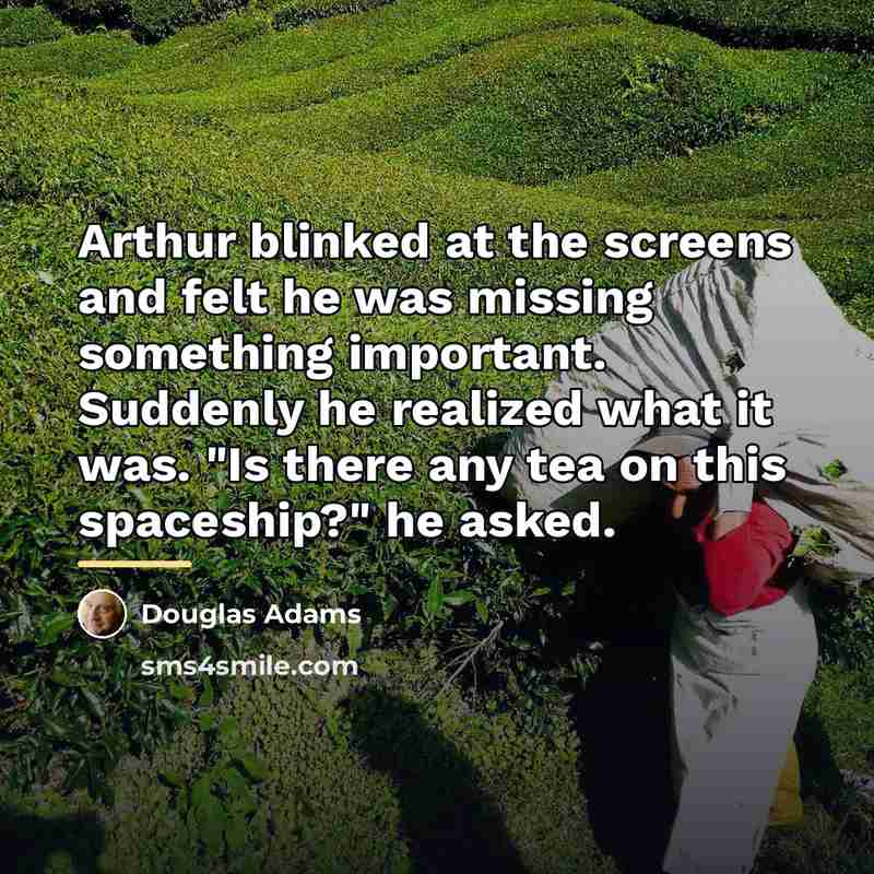 “Arthur blinked at the screens and felt he was missing…” quote by Douglas Adams