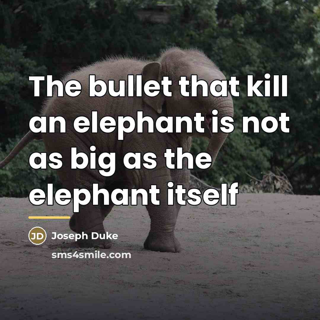 “The bullet that kill an elephant is not as big…” quote by Joseph Duke