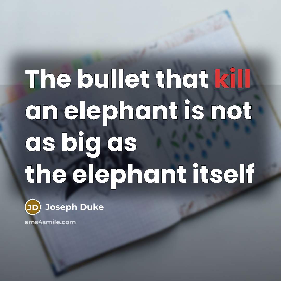 “The bullet that kill an elephant is not as big as the elephant itself” quote by Joseph Duke
