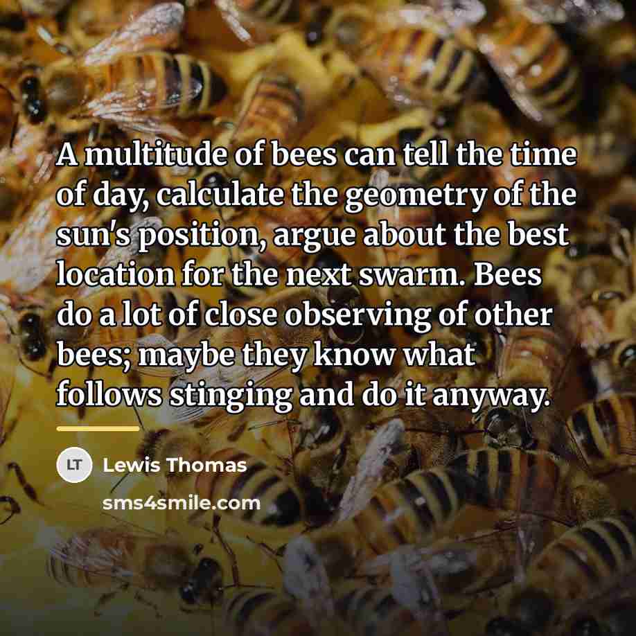 “A multitude of bees can tell the time of day,…” quote by Lewis Thomas