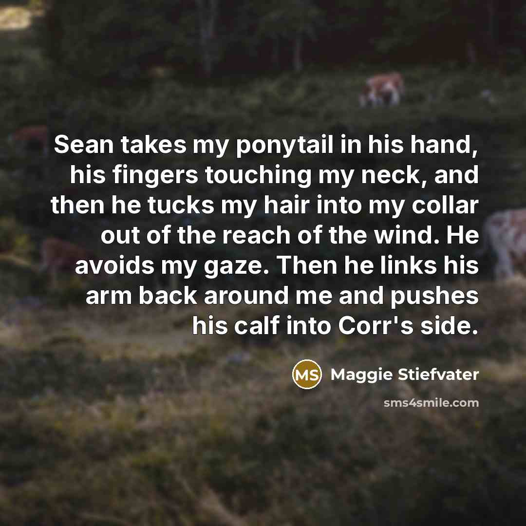 “Sean takes my ponytail in his hand, his fingers touching…” quote by Maggie Stiefvater