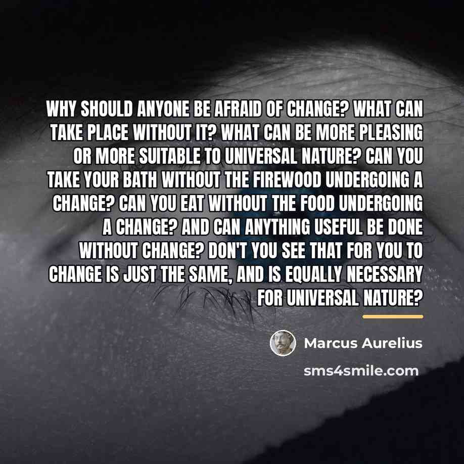 “Why should anyone be afraid of change? What can take…” quote by Marcus Aurelius