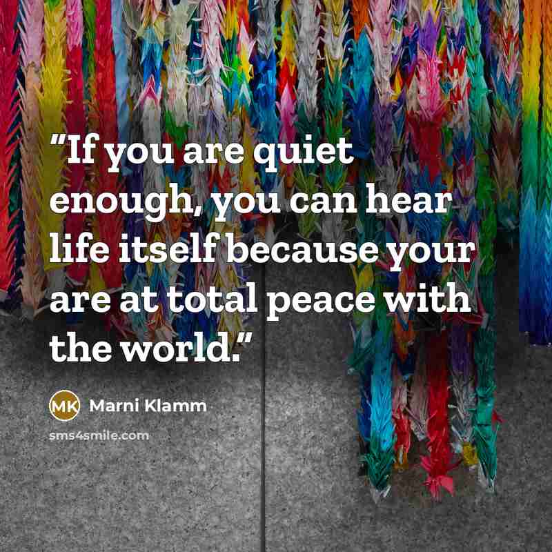 “If you are quiet enough, you can hear life itself because your are at total peace with the world.” quote by Marni Klamm