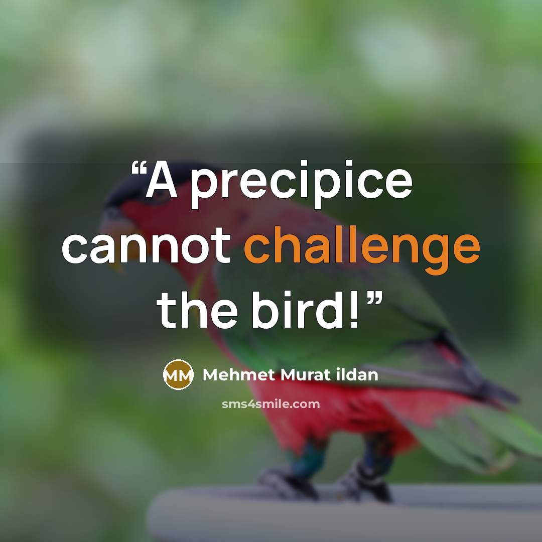 “A precipice cannot challenge the bird!” quote by Mehmet Murat ildan