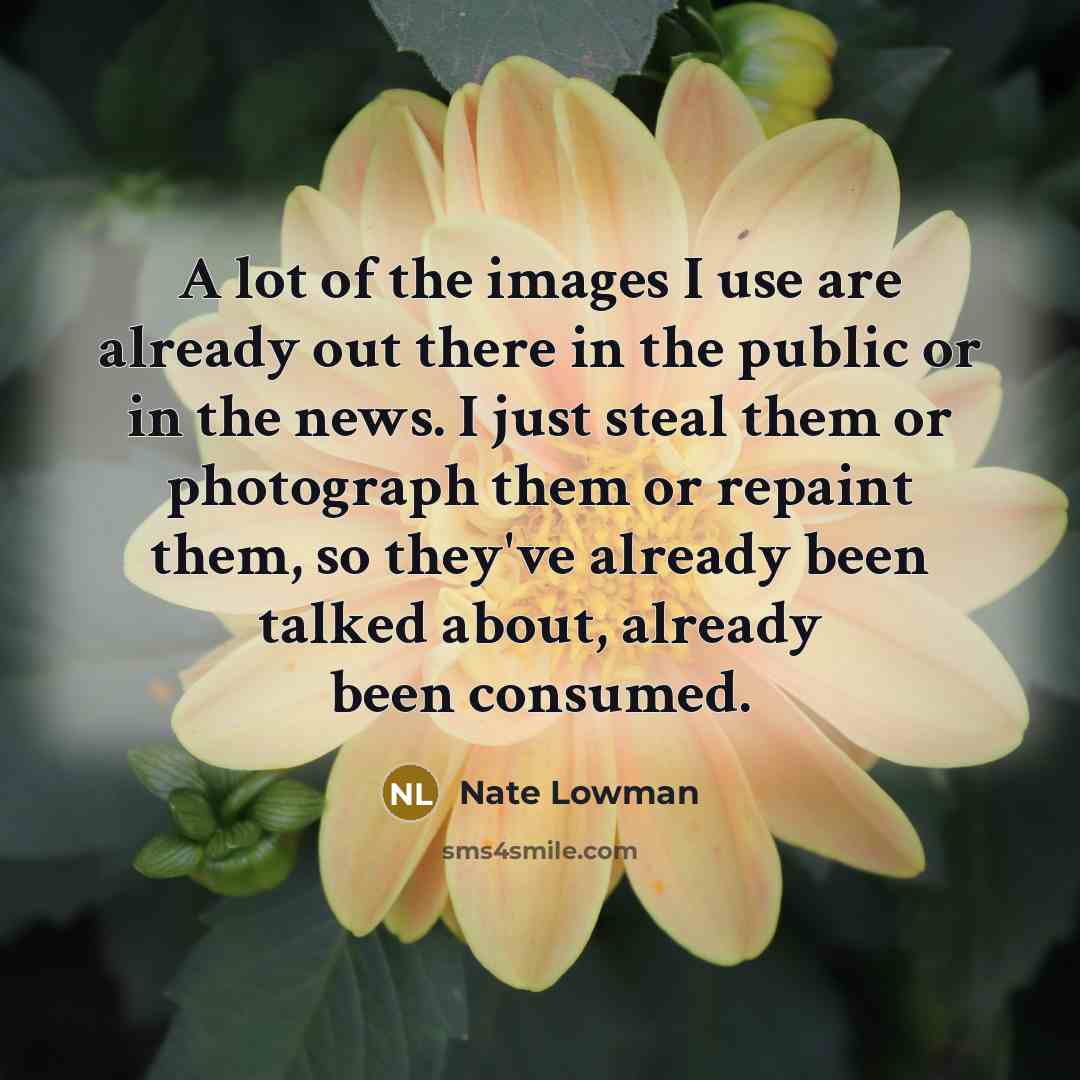 “A lot of the images I use are already out…” quote by Nate Lowman