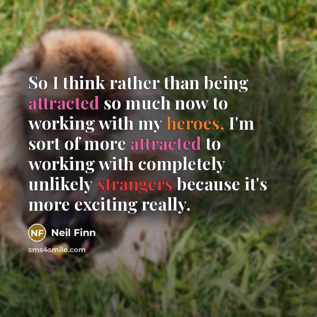 “So I think rather than being attracted so much now to working with my heroes, I'm sort of more attracted to working with completely unlikely strangers because it's more exciting really.” quote by Neil Finn