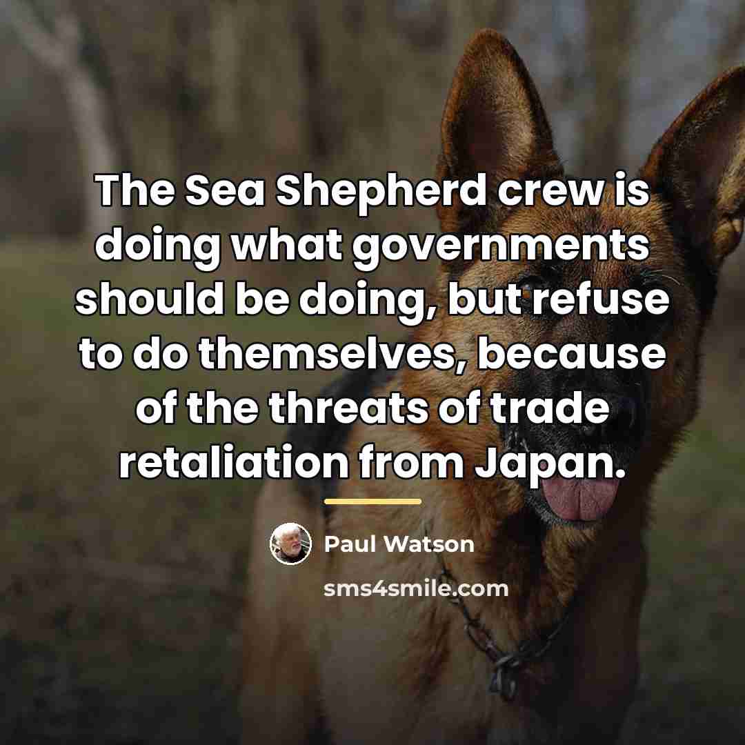 “The Sea Shepherd crew is doing what governments should be…” quote by Paul Watson