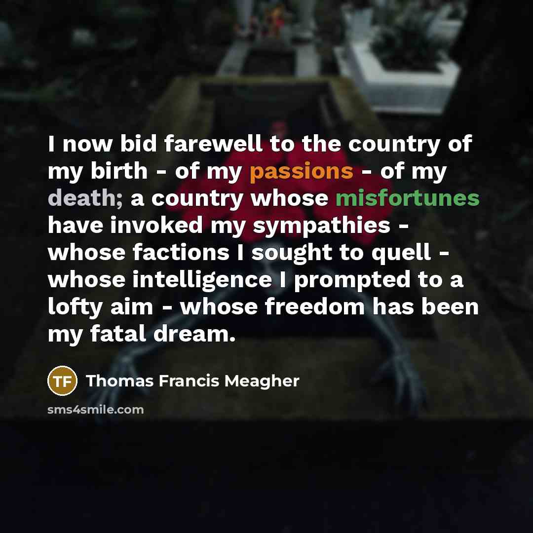 “I now bid farewell to the country of my birth…” quote by Thomas Francis Meagher
