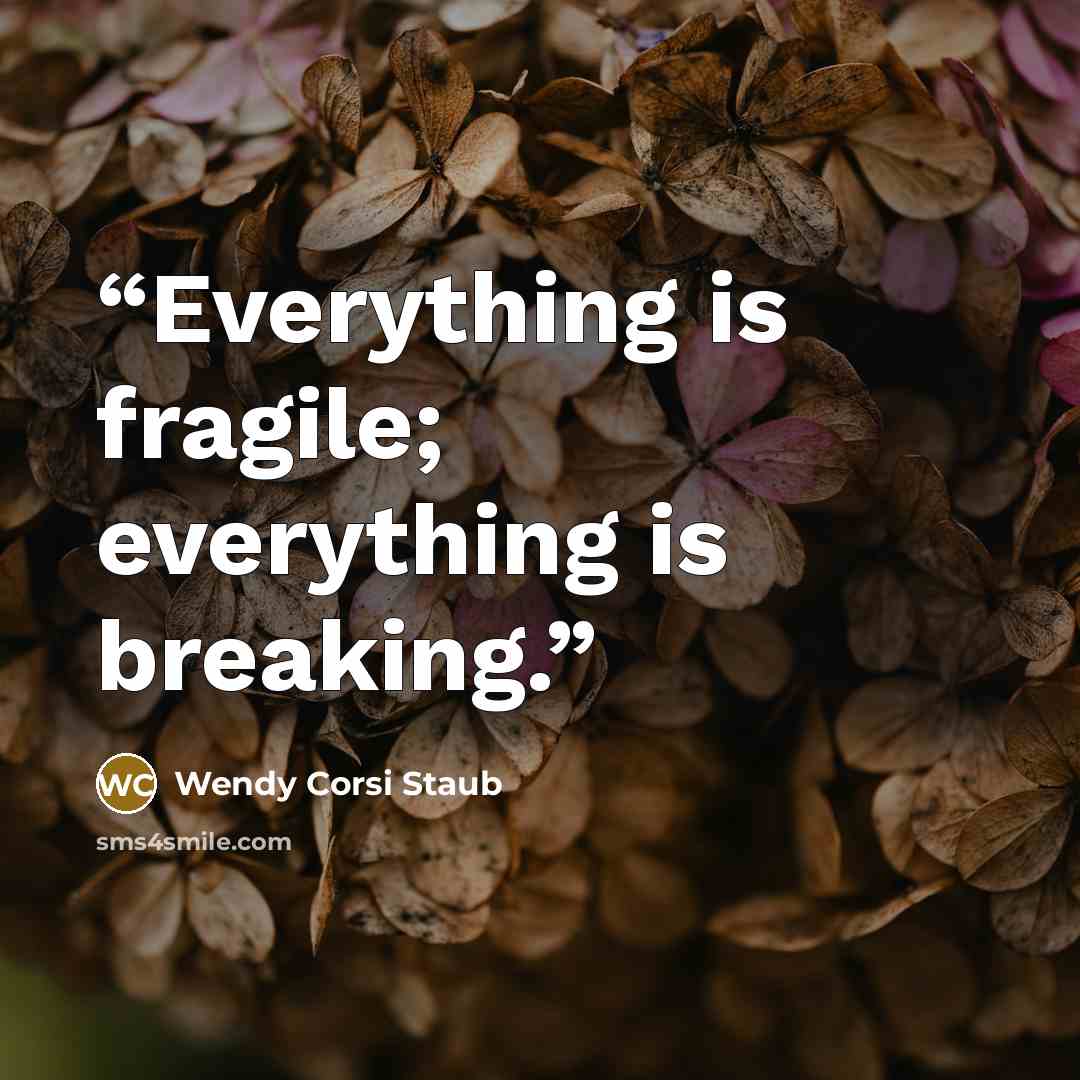 “Everything is fragile; everything is breaking.” quote by Wendy Corsi Staub