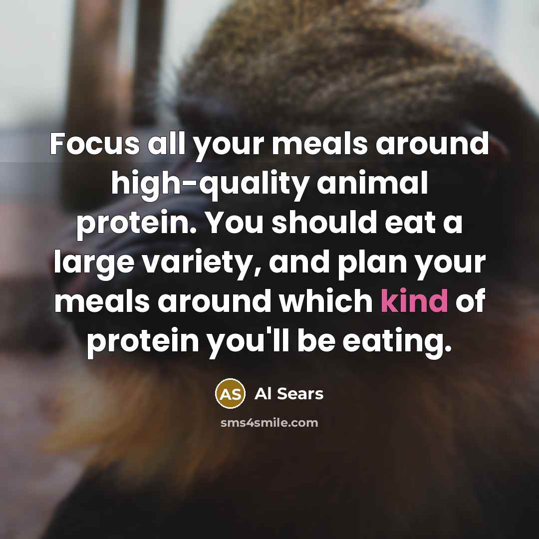 “Focus all your meals around high-quality animal protein. You should…” quote by Al Sears