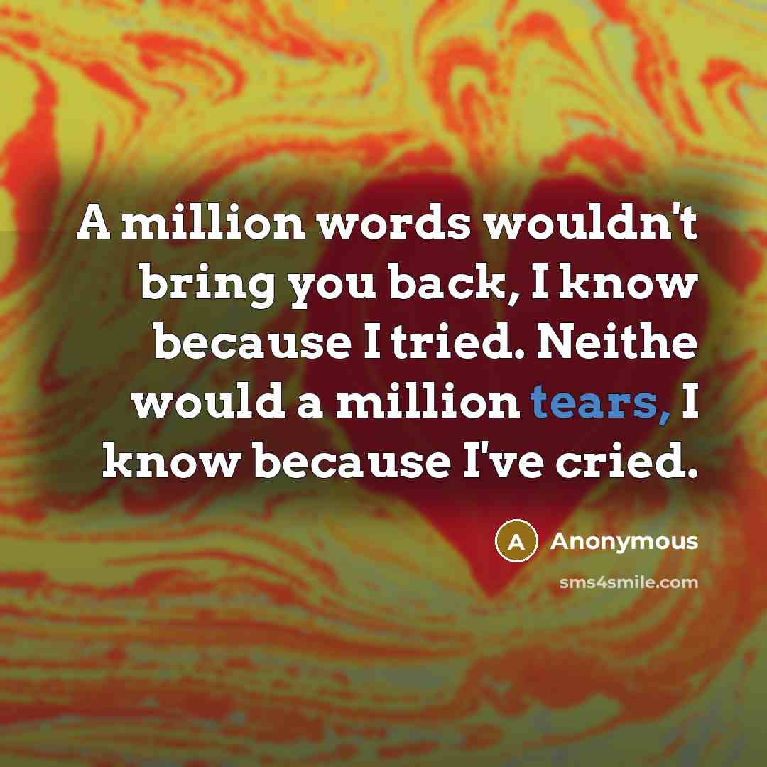 “A million words wouldn't bring you back, I know because…” quote by Anonymous