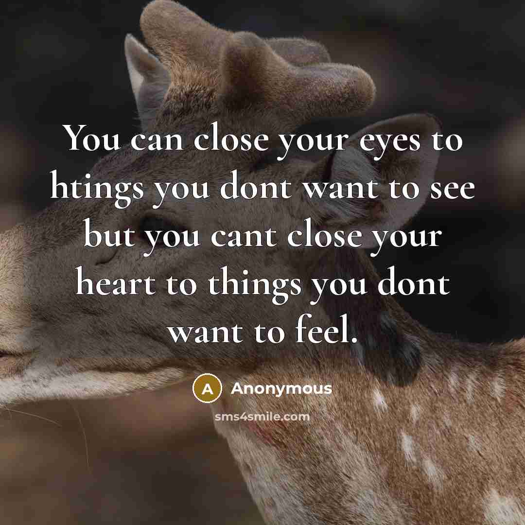 “You can close your eyes to htings you dont want to see but you cant close your heart to things you dont want to feel.” quote by Anonymous