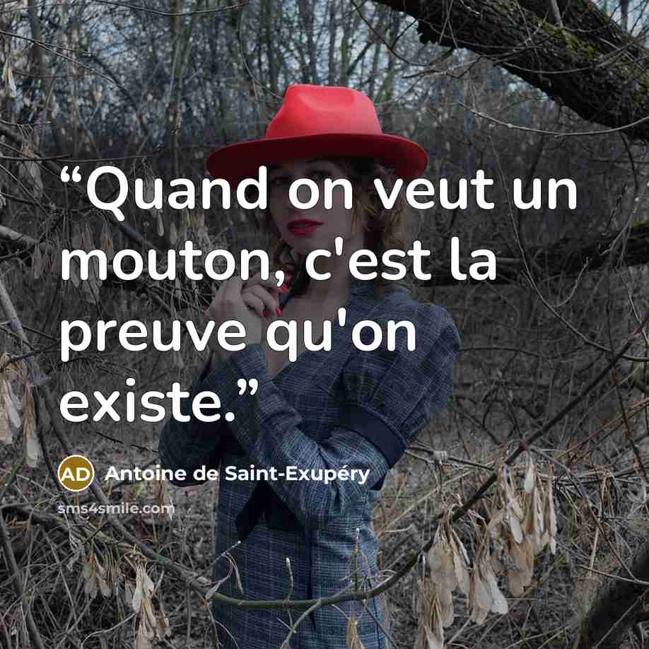 “Quand on veut un mouton, c'est la preuve qu'on existe.” quote by Antoine de Saint-Exupery
