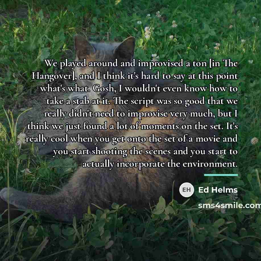“We played around and improvised a ton [in The Hangover],…” quote by Ed Helms