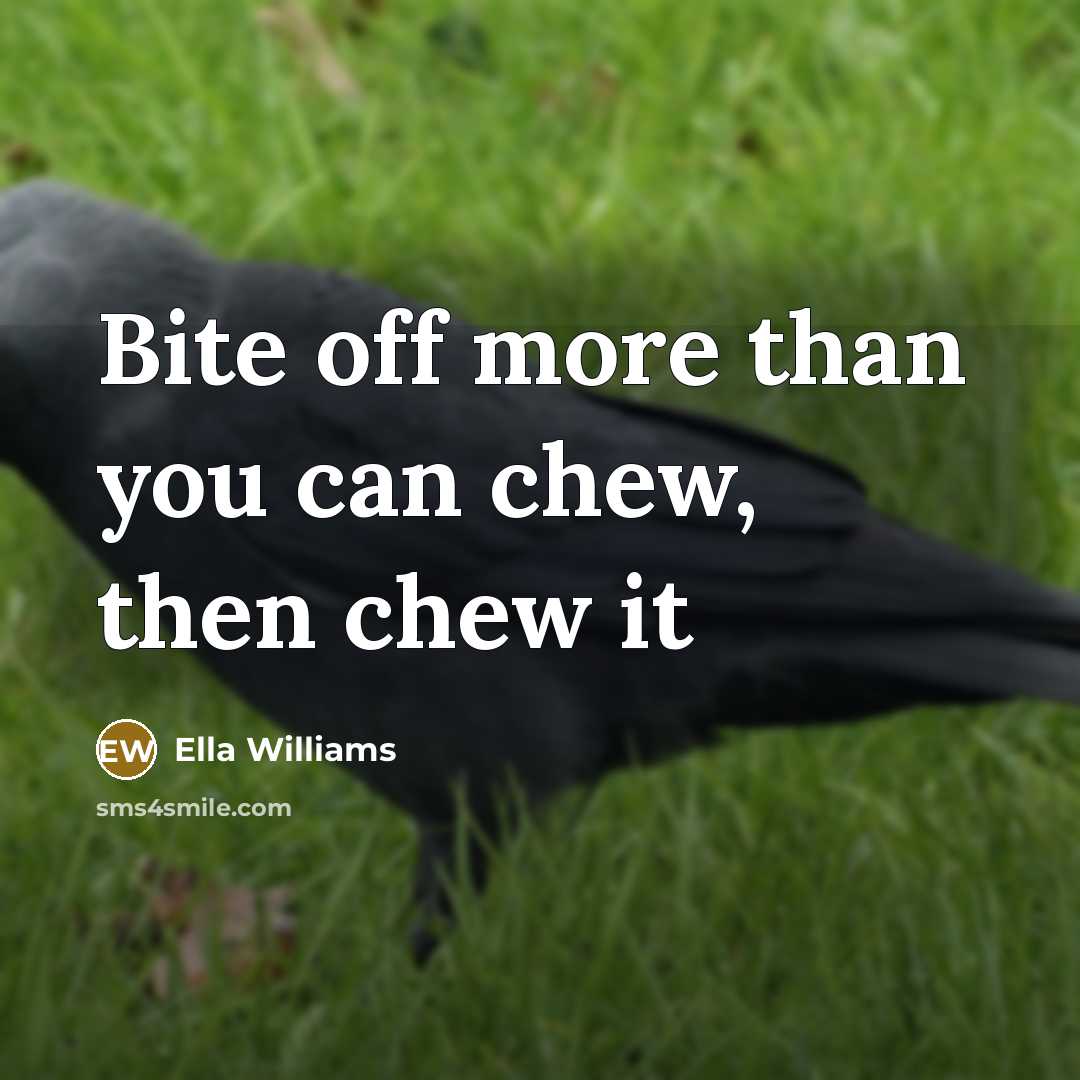 “Bite off more than you can chew, then chew it” quote by Ella Williams