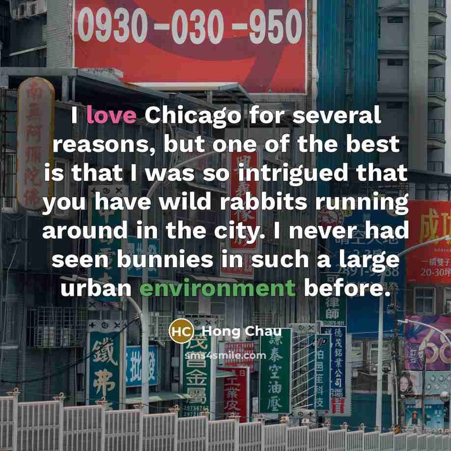 “I love Chicago for several reasons, but one of the…” quote by Hong Chau