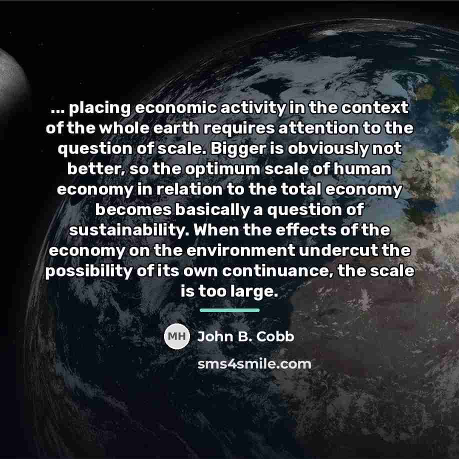 “... placing economic activity in the context of the whole…” quote by John B. Cobb