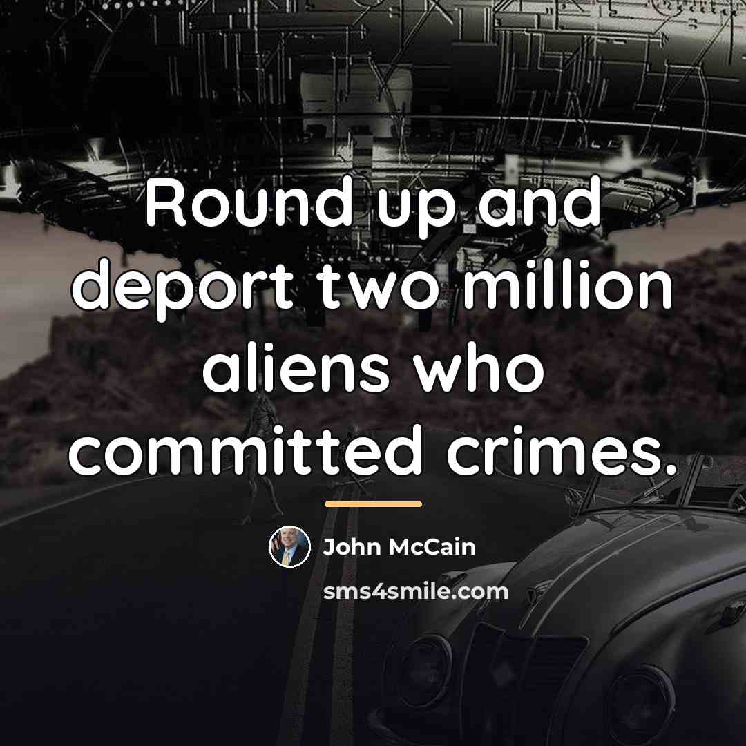 “Round up and deport two million aliens who committed crimes.…” quote by John McCain