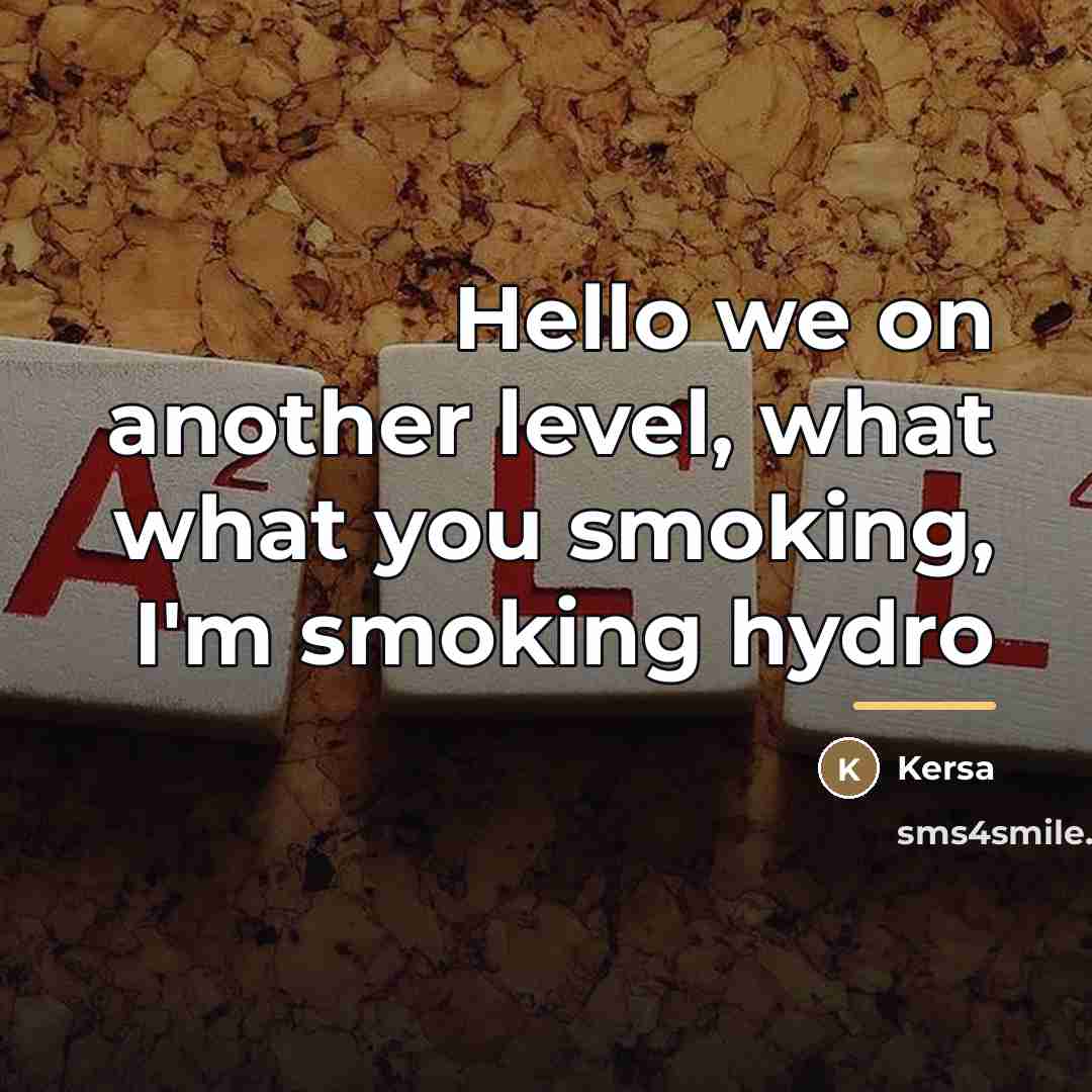 “Hello we on another level, what what you smoking, I'm…” quote by Kersa