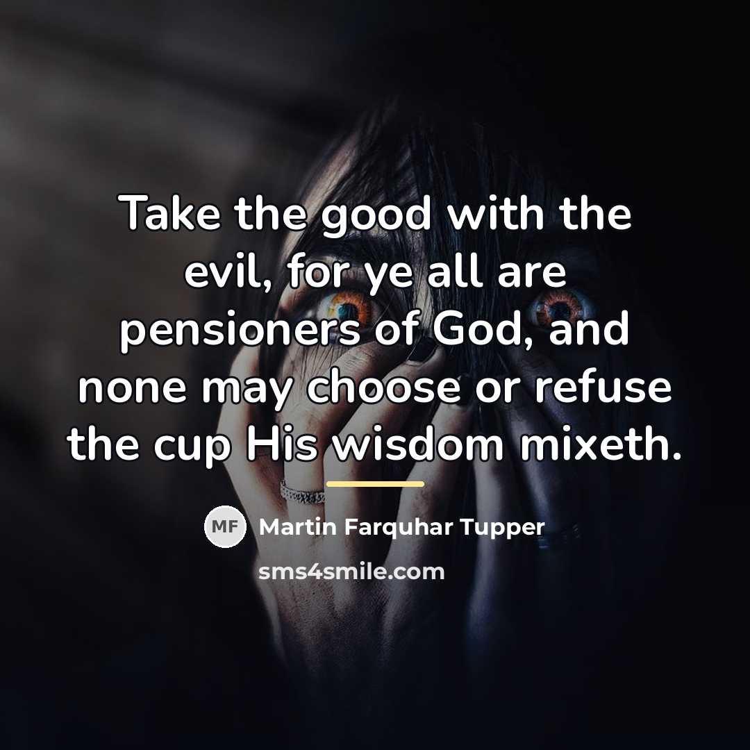 “Take the good with the evil, for ye all are…” quote by Martin Farquhar Tupper