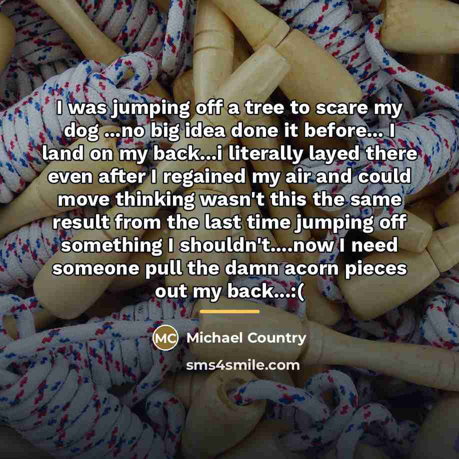 “I was jumping off a tree to scare my dog…” quote by Michael Country