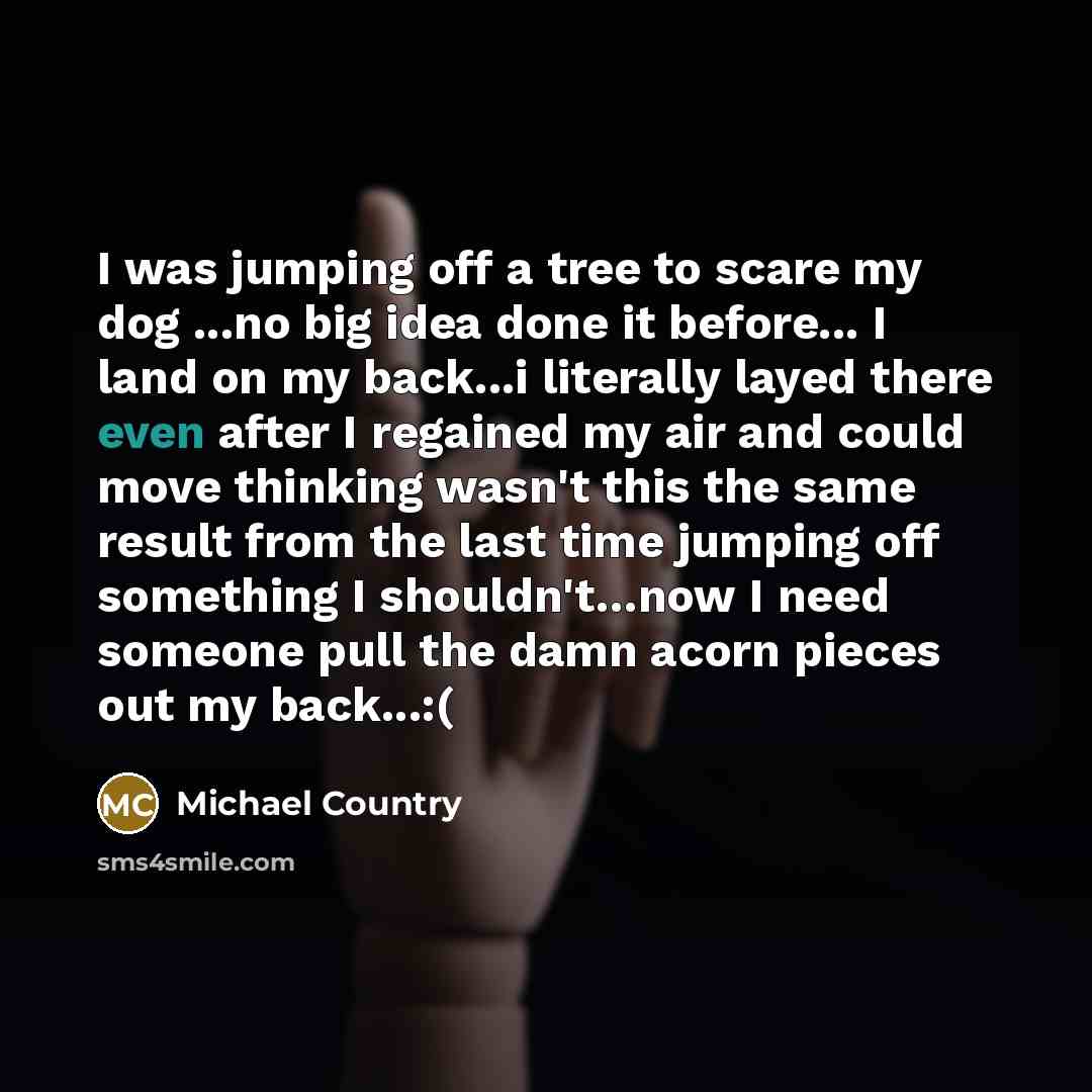 “I was jumping off a tree to scare my dog ...no big idea done it before... I land on my back...i literally layed there even after I regained my air and could move thinking wasn't this the same result from the last time jumping off something I shouldn't…now I need someone pull the damn acorn pieces…” quote by Michael Country