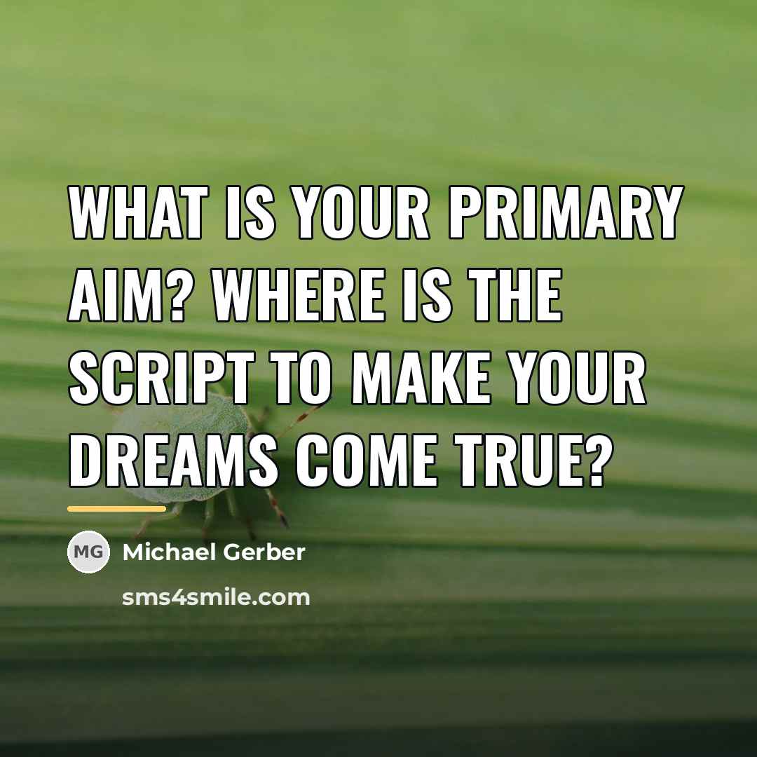 “What is your Primary Aim? Where is the script to…” quote by Michael Gerber