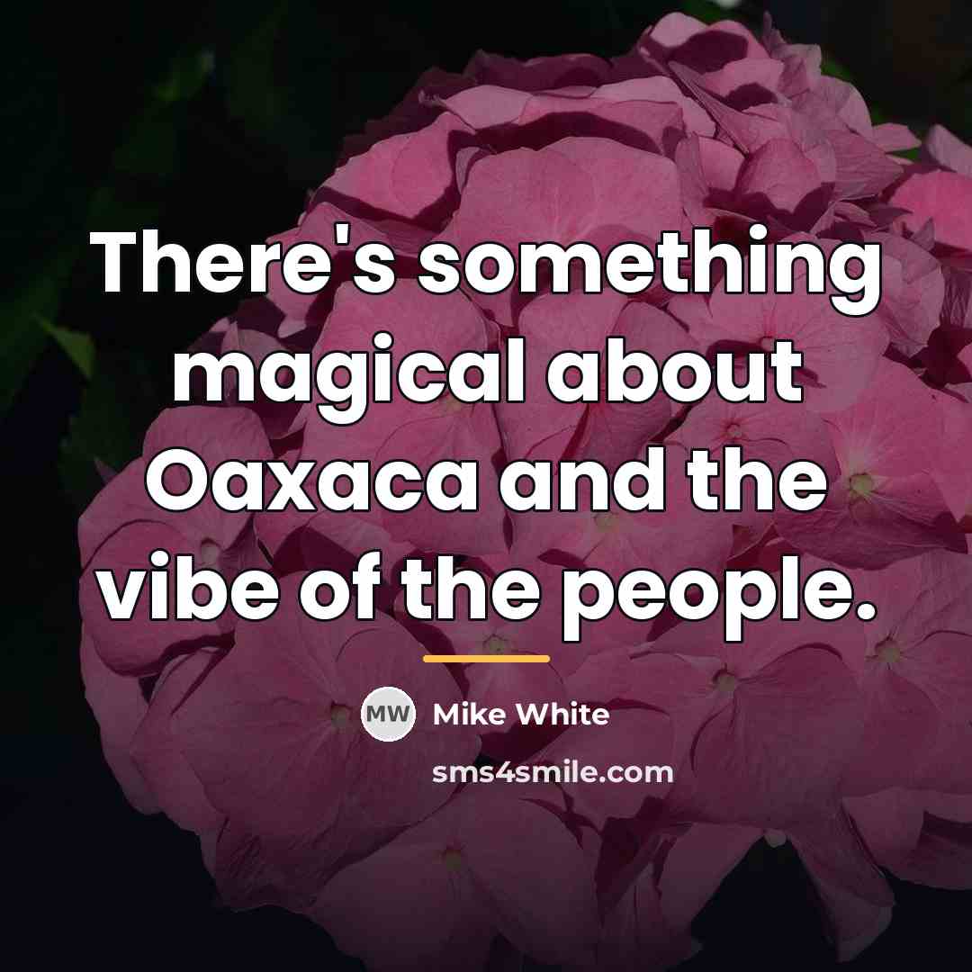“There's something magical about Oaxaca and the vibe of the…” quote by Mike White